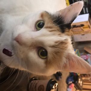 Meet your Posher, Jennifer